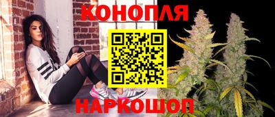 прущие грибы Коммунар