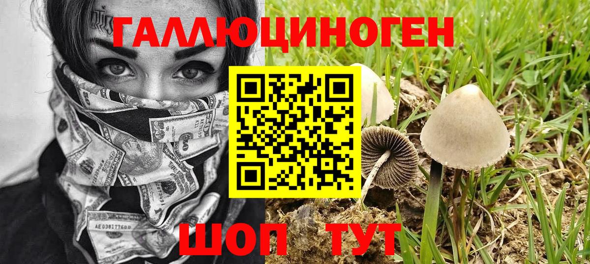 как найти закладки  Галлюциногенные грибы прущие грибы  Вход с VPN  Кострома 